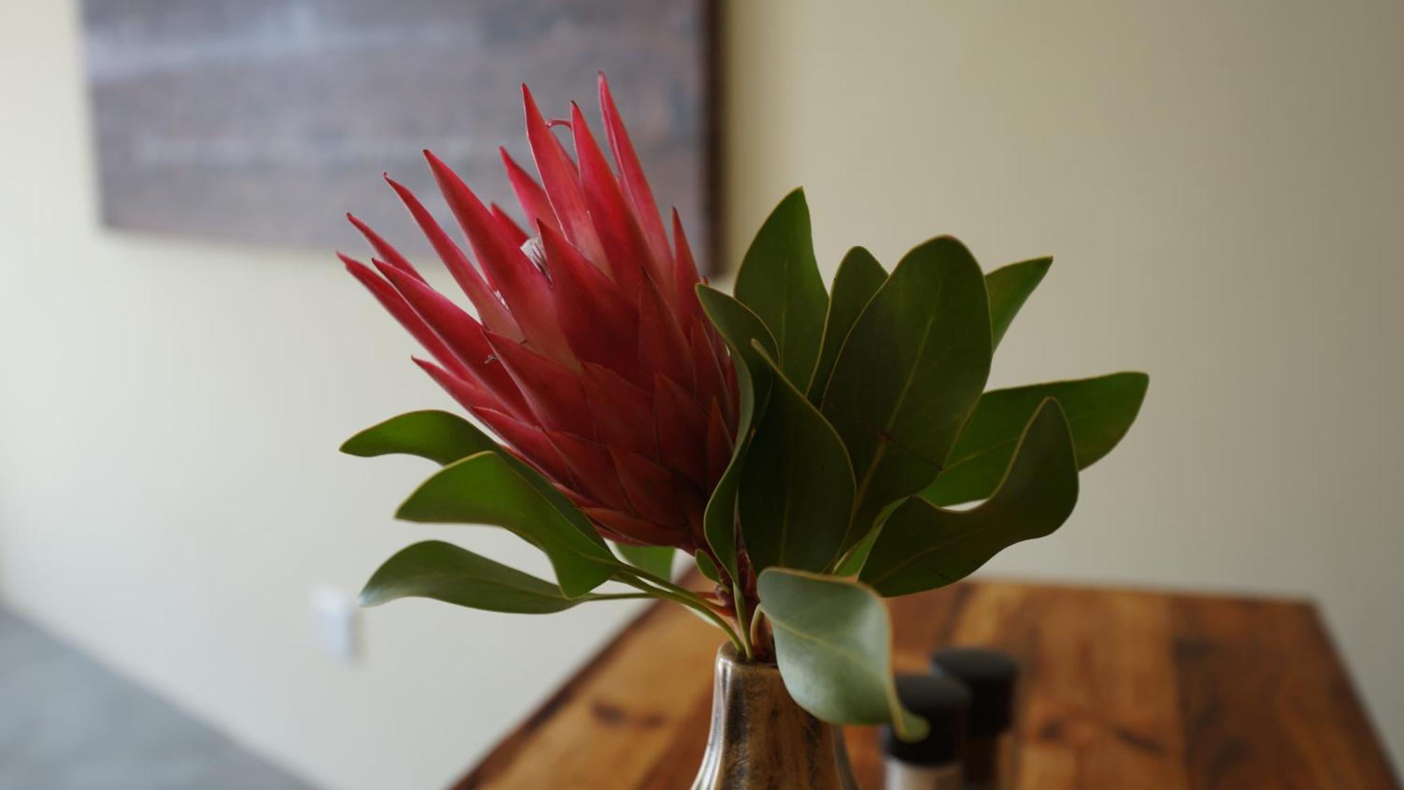 Stellar Overberg Travellers Lodge Napier ภายนอก รูปภาพ