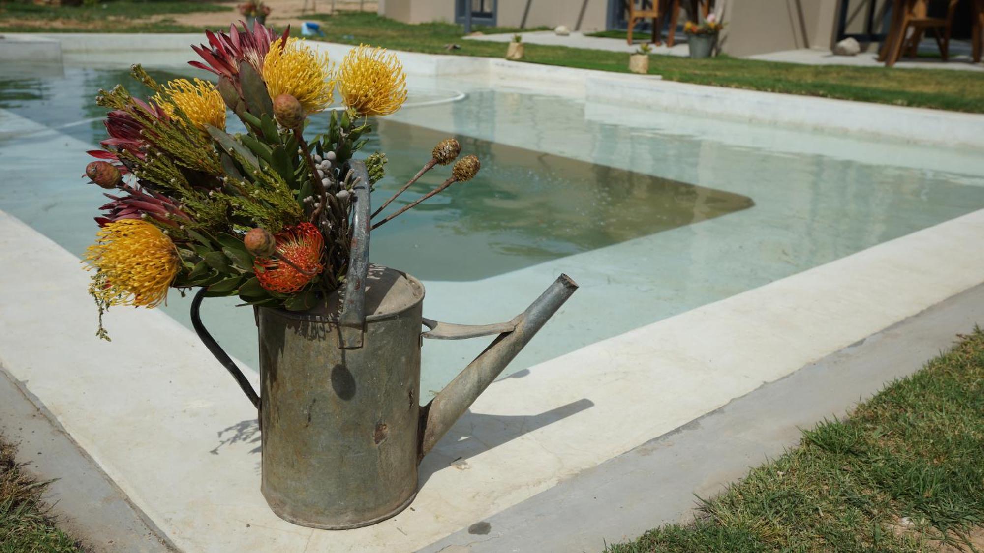 Stellar Overberg Travellers Lodge Napier ภายนอก รูปภาพ
