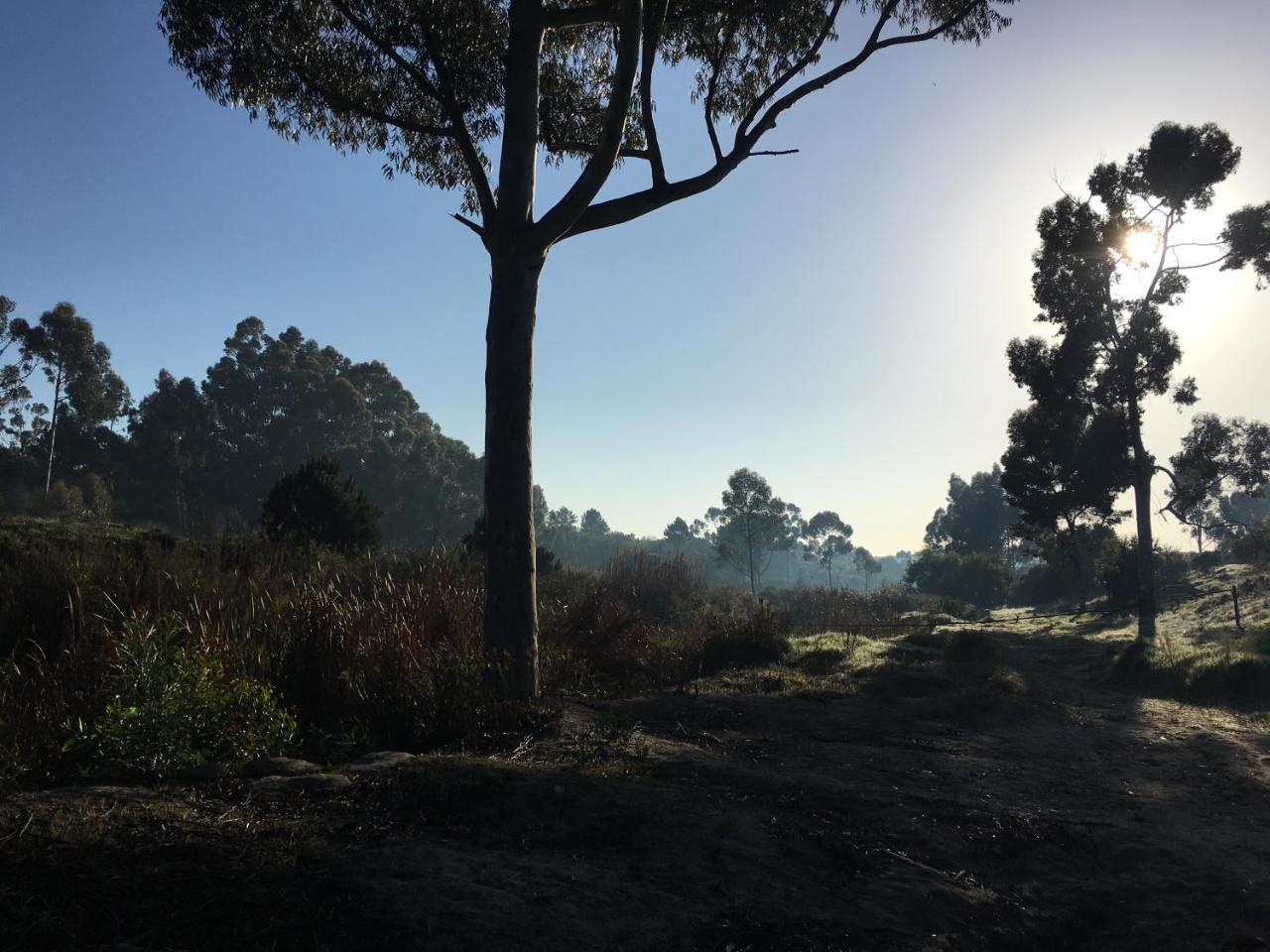 Stellar Overberg Travellers Lodge Napier ภายนอก รูปภาพ