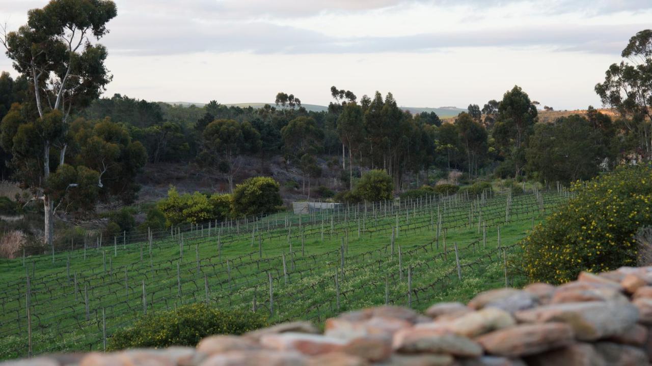 Stellar Overberg Travellers Lodge Napier ภายนอก รูปภาพ
